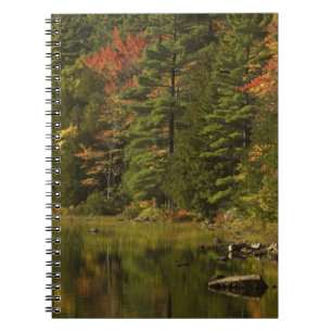 Caderno Espiral EUA; Maine; Acadia NP. Reflexos de outono às 2