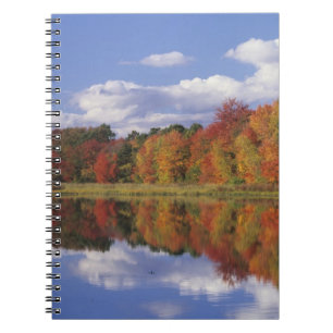 Caderno Espiral EUA, Massachusetts, Acton. Reflexo do outono