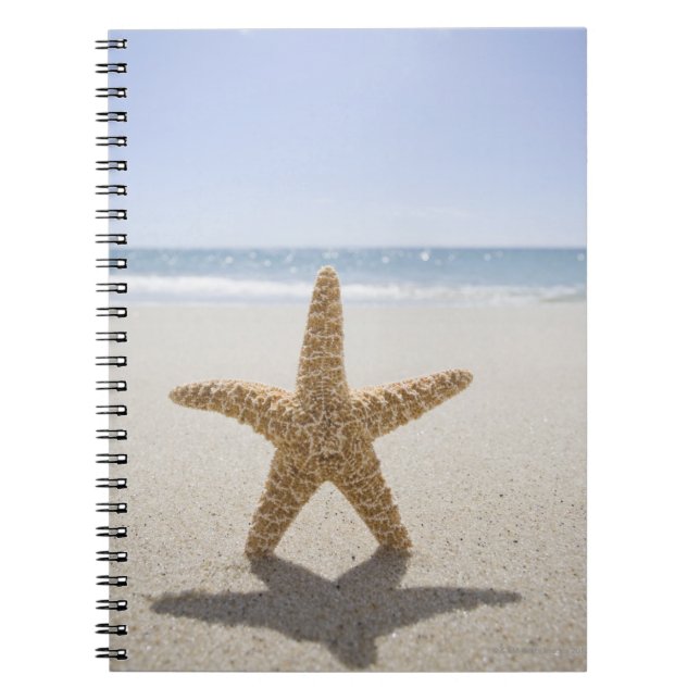 Caderno Espiral EUA, Massachusetts, Cape Cod, Nantucket, fecha (Frente)