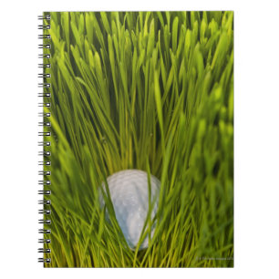 Caderno Espiral EUA, New-jersey, Jersey City, opinião do Fim-acim