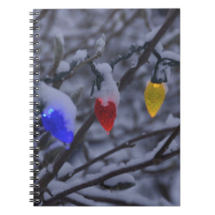 Caderno Espiral EUA, Nova Inglaterra, Massachusetts, leitura, 2