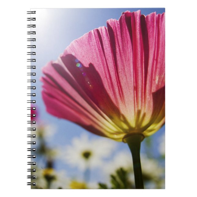 Caderno Espiral EUA, Oregon, Vale do Willamette, Close UP de (Frente)