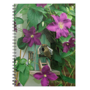 Caderno Espiral EUA, Pensilvânia. Carriça em casa de pássaro