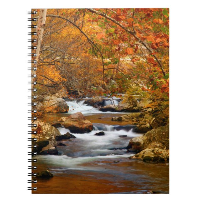 Caderno Espiral EUA, Tennessee. Rushing Mountain Creek (Frente)