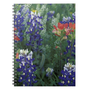Caderno Espiral EUA, Texas Hill Country. Bluebonnets e