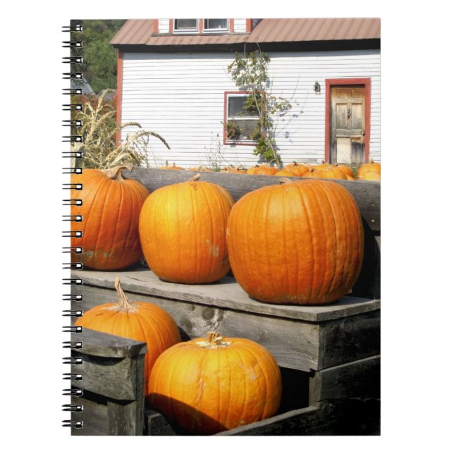 Caderno Espiral EUA, Vermont.Pumpkins (Frente)