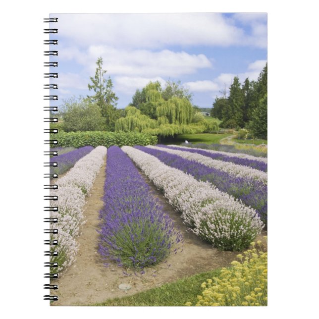 Caderno Espiral EUA, WA, Sequim, Fazenda de Lavanda de Risco Roxo (Frente)