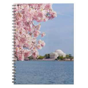 Caderno Espiral EUA, Washington DC, árvore de cereja