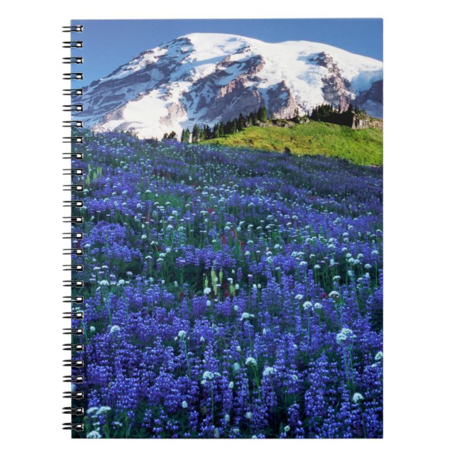 Caderno Espiral EUA, Washington, Monte Rainier National Park. Mt. (Frente)