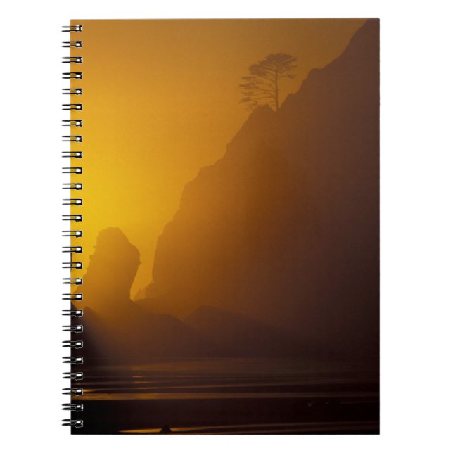Caderno Espiral EUA, Washington, Olimpiadas Nat'l Park, Sunset, 2 (Frente)