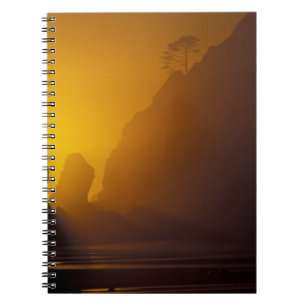 Caderno Espiral EUA, Washington, Parque Nacional Olímpico, Pôr do