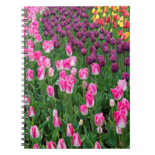 Caderno Espiral EUA, Washington. Tulipas em Flor