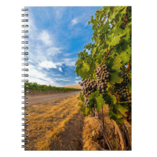 Caderno Espiral EUA, Washington, Vale de Yakima. Uvas Merlot