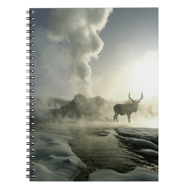 Caderno Espiral EUA, Wyoming, Parque Nacional Yellowstone. Sol (Frente)