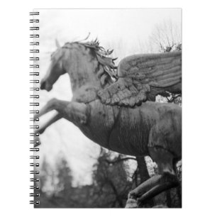Caderno Espiral Europa, Áustria, Salzburgo. Estátua de cavalo alad
