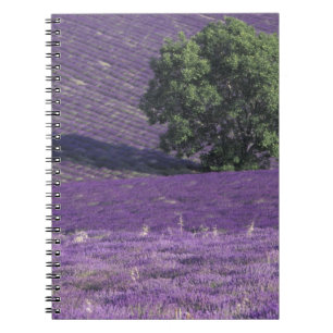 Caderno Espiral Europa, França, Provença, Sault, Campos de lavanda