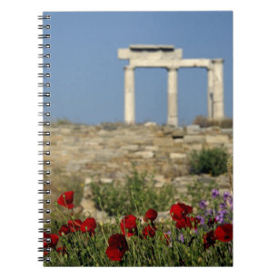 Caderno Espiral Europa, Grécia, Cíclades, Delos. Ruínas de colu