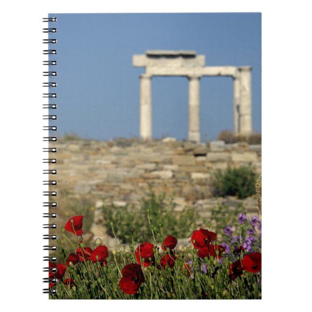 Caderno Espiral Europa, Grécia, Cíclades, Delos. Ruínas de coluna. (Frente)