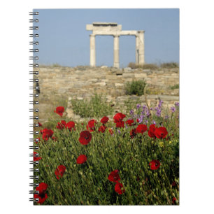 Caderno Espiral Europa, Grécia, Cíclades, Delos. Ruínas de coluna.
