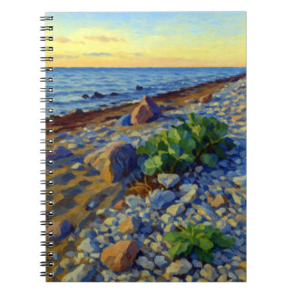 Caderno Espiral Evening light on the coast of Vormsi