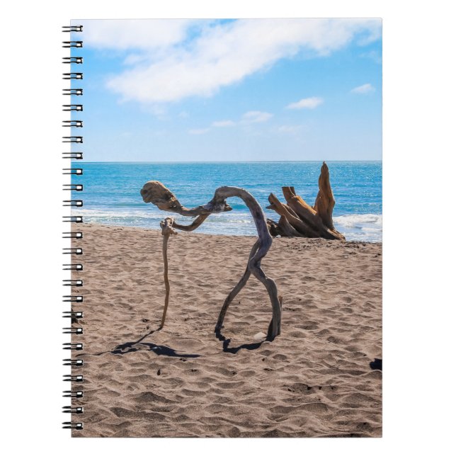 Caderno Espiral Evolução (Frente)