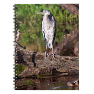 Caderno Espiral Excelente Azul Heron no Log do Diário do Notebook