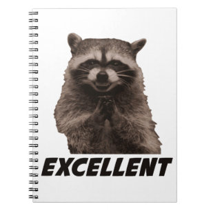 Caderno Espiral Excelente Mau Plotting Raccoon