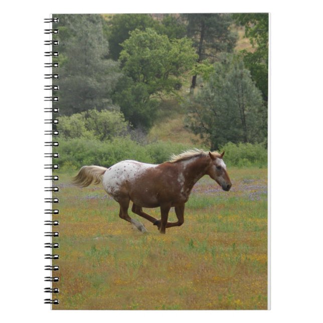 Caderno Espiral Executando Notebook Appaloosa (Frente)