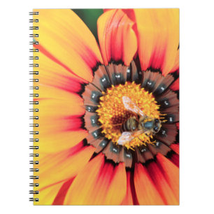 Caderno Espiral Extremo Close-Up De Uma Abelha Coletando Pólen