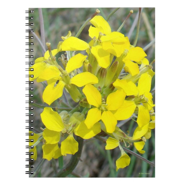 Caderno Espiral F14 Flores Amarelas (Frente)