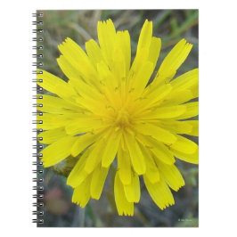 Caderno Espiral F16 Diabo-rei-silvestre