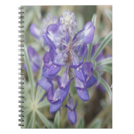 Caderno Espiral F18 Flores Silvestres Roxas Lupino Anual