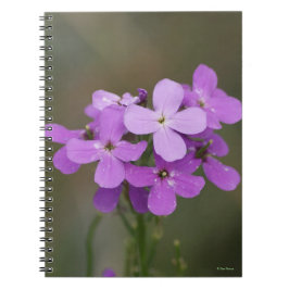 Caderno Espiral F19 Flores Silvestres Roxas Dames Rocket