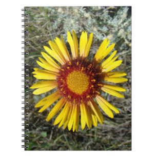 Caderno Espiral F1 Flor Amarela Selvagem Gaillardia