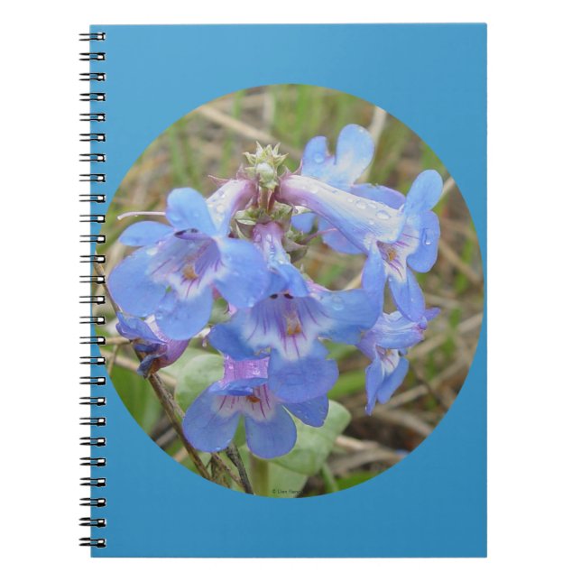 Caderno Espiral F28 Azul Flores Selvagens Azuis Amarelo Escuro (Frente)