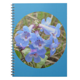 Caderno Espiral F28 Flores Silvestres Azules Penstemon Azul Delgad