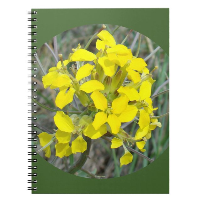 Caderno Espiral F33w Flores Silvestres Amarelas (Frente)