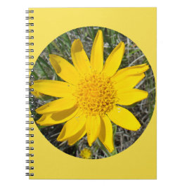 Caderno Espiral F36wma Flores Silvestres Amarelas Sneezeweed