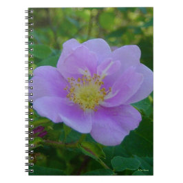 Caderno Espiral F37 Rosa Silvestre