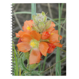 Caderno Espiral F40 Flores Silvestres Laranja Malva Escarlate