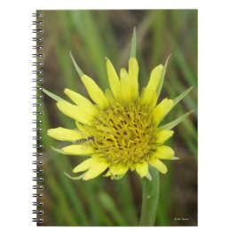 Caderno Espiral F41 Flor Amarela Silvestre Barba de Bode