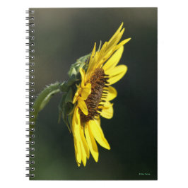 Caderno Espiral F43 Flor Amarela Silvestre Susana de Olhos Negros