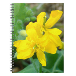 Caderno Espiral F44 Flor Amarela Selvagem Mostarda Selvagem