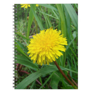 Caderno Espiral F45 Dandelion