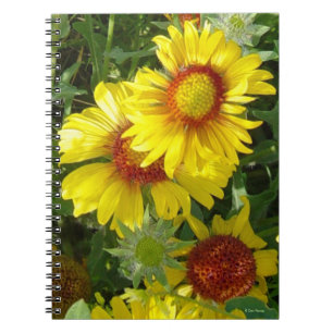 Caderno Espiral F6 Flores Silvestres Amarelas Gaillardia