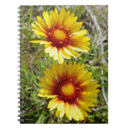 Caderno Espiral F8 Amarelas Flores Silvestres Gaillardia