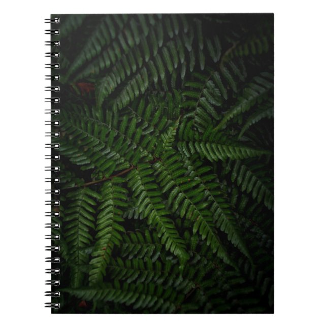 Caderno Espiral Fábrica de Fern (Frente)