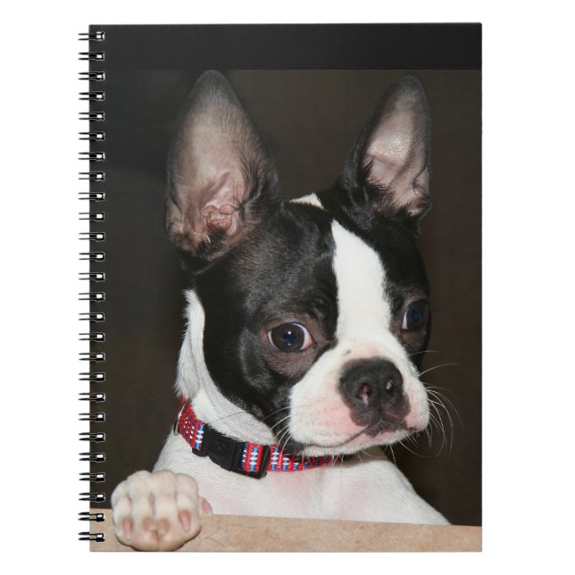 Caderno Espiral Face de Boston Terrier (Frente)