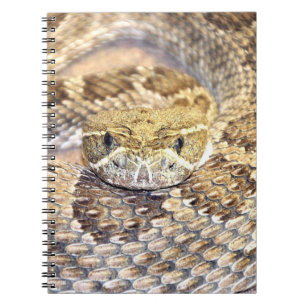 Caderno Espiral Face de cascavel