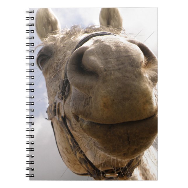 Caderno Espiral Face de cavalo (Frente)